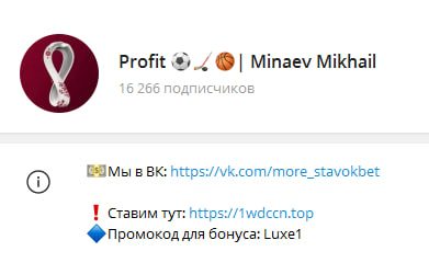 «Minaev Mikhail»