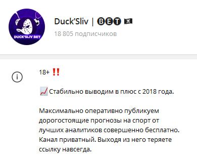 «Duck’Sliv»